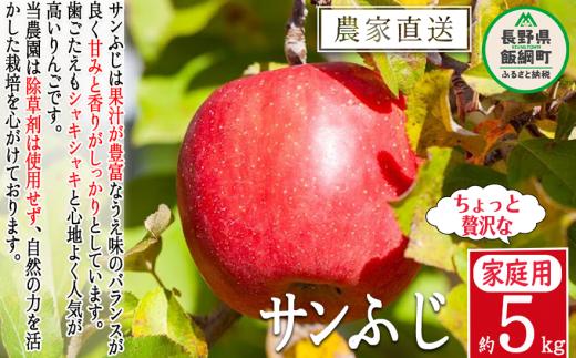 りんご サンふじ 贅沢な 家庭用 5kg 松澤農園 沖縄県への配送不可 2024年11月下旬頃から2025年2月上旬頃まで順次発送予定 令和6年度収穫分 長野県 飯綱町 [0715]