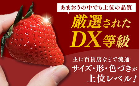 【2025年2月上旬より発送】あまおうDX等級 3ケース（270g×6パック） 苺 イチゴ いちご 福岡 フルーツ 広川町 / JAふくおか八女農産物直売所どろや[AFAB073]