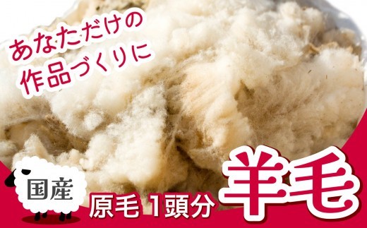 
                  【先行予約】国産 羊毛 原毛 ( 一頭分 2～3kg ) フリース フェルト クラフト ホームスパン 期間限定 2026年4月以降発送
                