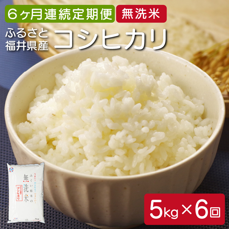定期便 ≪6ヶ月連続お届け≫ 無洗米 ふるさと福井県産 コシヒカリ 5kg × 6回（計30kg）【米 ご飯 ご当地 お取り寄せ ブランド】 [051-f002]【敦賀市ふるさと納税】