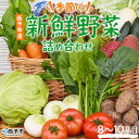 【ふるさと納税】＜季節の新鮮野菜の詰め合わせ＞ 西予市産 愛媛県産 国産 旬 季節の野菜 やさい セット 8～10品目 お楽しみ 特産品 百姓百品株式会社 愛媛県 西予市 【冷蔵】『1か月以内に順次出荷予定』