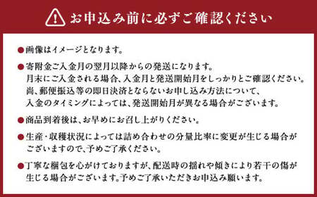 【年3回定期便】熊本の人気フルーツ堪能定期便（1月・5月・10月発送） 熊本県産 果物 毎月お届けギフト 