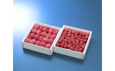 梅の年輪セット（木箱入り） 大梅380g 小梅350ｇ 塩分約8％ / 和歌山 田辺市 梅 梅干 紀州南高梅 南高梅 うめ 肉厚 お米 おにぎり 焼酎 梅酒 健康 合成保存料不使用 【mrs028】 