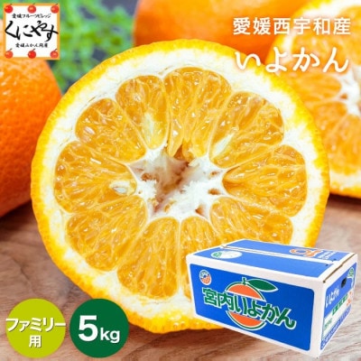 【爽やか香りと柔らかジューシーな果肉】愛媛八幡浜産 宮内伊予柑 5kg【C20−55】【1595885】