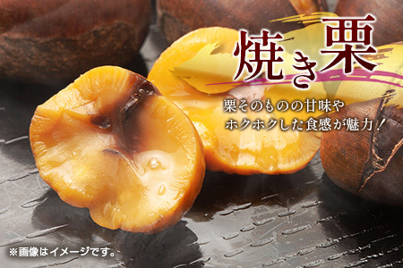＜2026出荷!!＞国産 低温熟成栗（生栗）1kg 熟成宝珠栗 産地直送 宮崎県新富町産【B671-26】