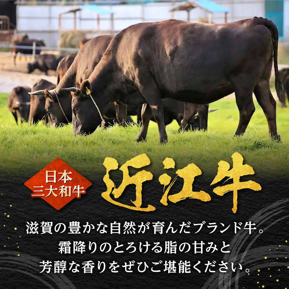 近江牛 ヒレステーキ 4枚 BIBX006 ステーキ