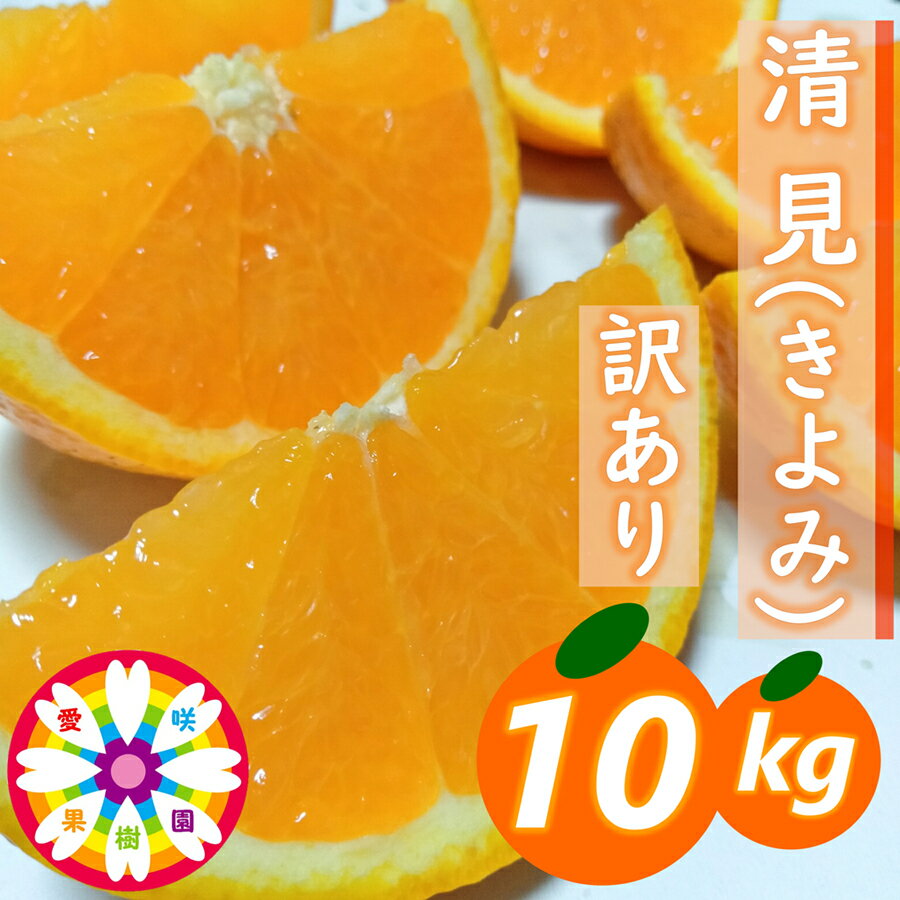 【ふるさと納税】【先行受付】愛咲果樹園 「 清見 」 訳あり 約10kg【C71-15】_ みかん ミカン 柑橘 くだもの 果物 フルーツ 清見 きよみ 甘い ワケアリ 訳あり わけあり 規格外 傷 不揃い 常温 デザート 産地直送 産直 愛媛 人気 【1344734】YWTS013