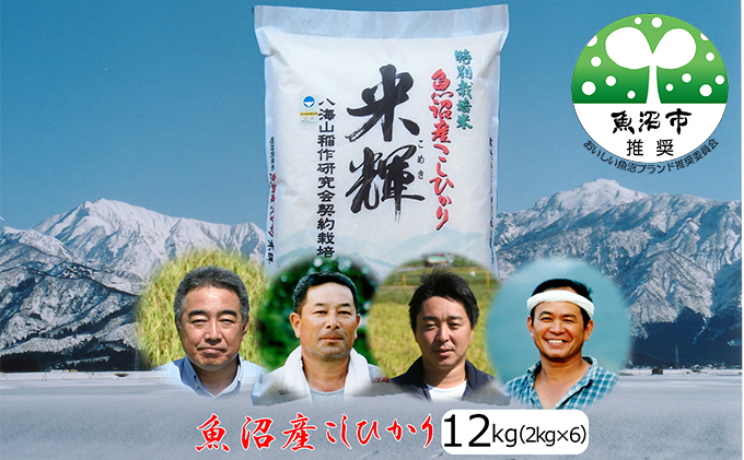 令和6年産【新潟県認証・特別栽培米】魚沼産こしひかり(精米)１２kg(2kg×6)