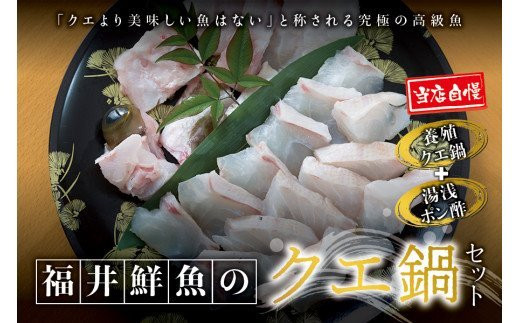 
【先行予約】幻のクエ！国産 養殖クエ鍋 500g クエ くえ 海鮮 海の幸 鍋 セット
