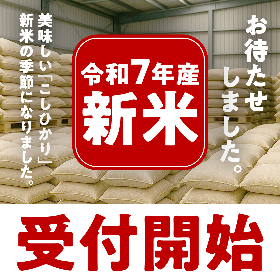 ＼ 新米先行予約 ／ コシヒカリ 5kg 令和7年産精米 【 数量限