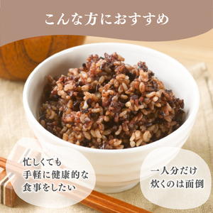 定期便 12ヶ月 ご飯パック 金賞 健康米 玄米・黒米 120g×12個入り ごはん パック ご飯 パックライス