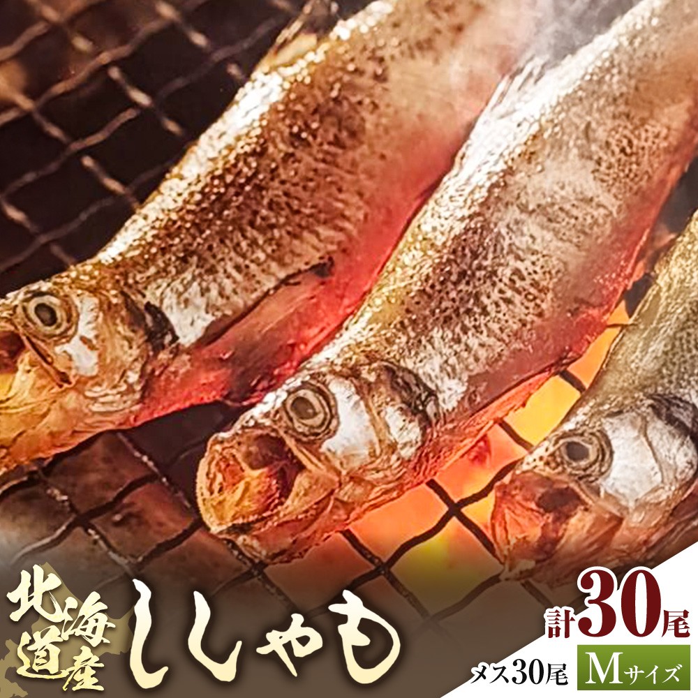
                  北海道産 ししゃも メス M30尾 有限会社阿部水産《14日以内に出荷予定》北海道 日高町 国産 魚 シシャモ 魚介 海鮮 グルメ 食べ物
                