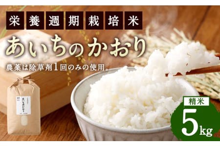 幸田町産「栄養週期栽培米」あいちのかおり 5kg 白米 精米 お米 ご飯