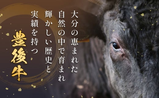 おおいた豊後牛 黒毛和種 サーロインステーキ 220g×4枚 おおいた 豊後牛 黒毛和種 サーロイン ステーキ 牛肉 和牛 大分県 霜降り 柔らかい まろやか 甘み 天皇賞 農林水産大臣賞 内閣総理大