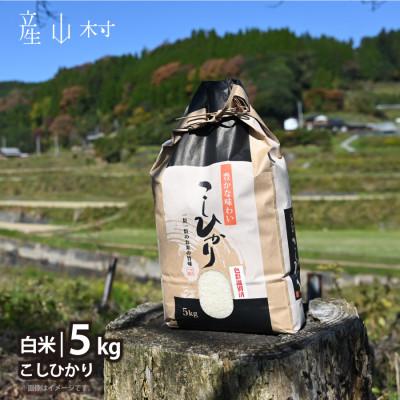 ふるさと納税 産山村 【令和7年産米】阿蘇うぶやまのコシヒカリ5kg×1袋