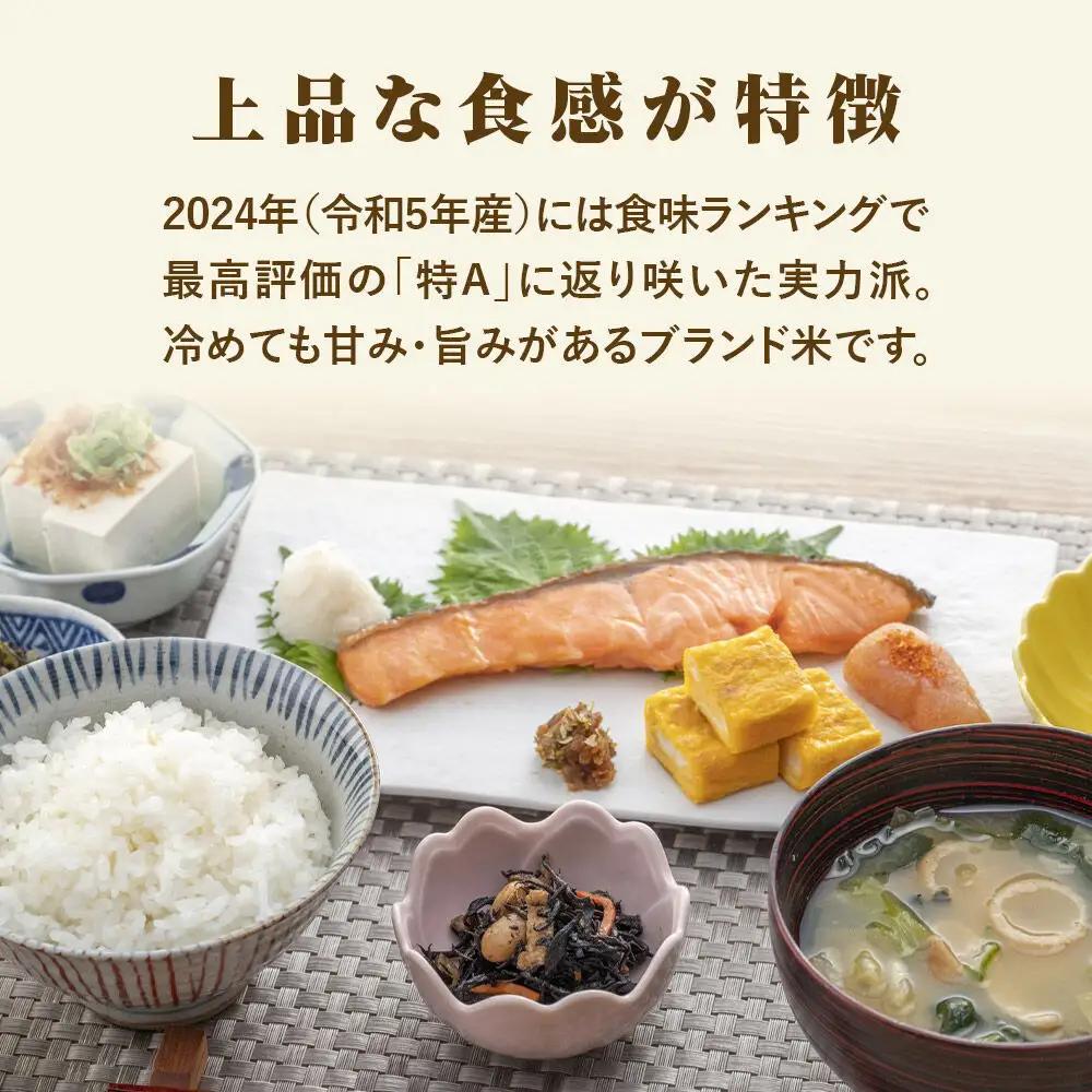 【令和7年産 白米】 宮城県産 つや姫 2kg 丹野米穀店