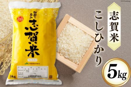 米 令和7年産 志賀米 こしひかり 5kg [みちのえき旬菜館 石川県 志賀町 AP4112]
