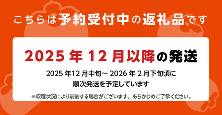 【予約受付中】12月より出荷！柿の王様 池尻農園 田主丸町の富有柿(冷蔵)2L 16玉入り 約4.2㎏_柿 約 4.2kg 富有柿 2L 16玉 入り 個包装 柿の王様 人気 高い 国産 フルーツ 果
