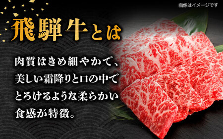 【6回定期便】 飛騨牛 焼肉用 ロース・肩ロース 1kg A4等級以上  多治見市 / 渡辺精肉店 和牛 ブランド牛 牛肉[TAZ036]