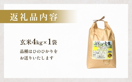【令和8年産米先行受付】原さんちのお米 玄米 ４kg ひのひかり 米 お米 こめ コメ  ご飯 ヒノヒカリ 常温 大分県 大分 玖珠町 玖珠