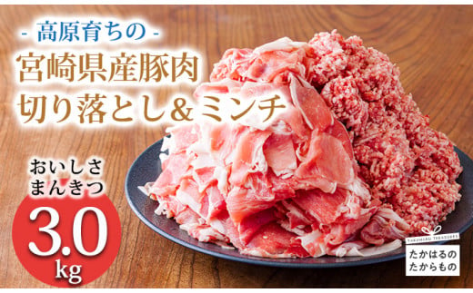 高原育ちの宮崎県産豚肉切り落とし＆ミンチ3kg おいしさ満喫 アレンジ色々 [夕食 お弁当 一人暮らし 万能食材 生姜焼き しゃぶしゃぶ ハンバーグ 餃子 肉巻き ミートソース 麻婆豆腐]