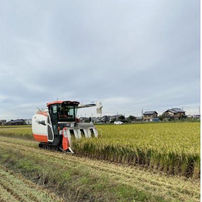 ふるさと納税 西尾市 令和6年産＜万燈米＞【にじのきらめき 3.5kg×2袋 】・I029-13-1 |  | 03