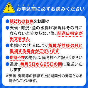 【12ヶ月定期便】大和のこだわり漁師のお刺身4人前 N072-YG0143_2