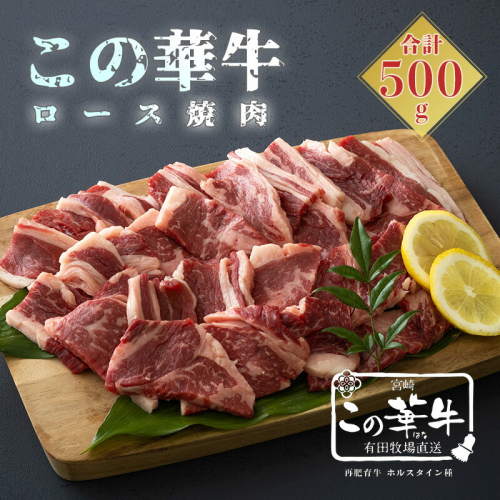 高原有田牧場直送 この華牛 ロース焼肉(500g) ワンストップオンライン対応 TF0460-P00037