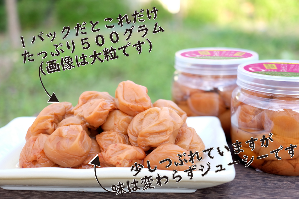 梅干し 無添加 訳あり はちみつ梅干1kg（500g×2） 紀州梅香 ｜ 和歌山 みなべ町 梅干し ウメ 梅 梅干 南高梅 減塩