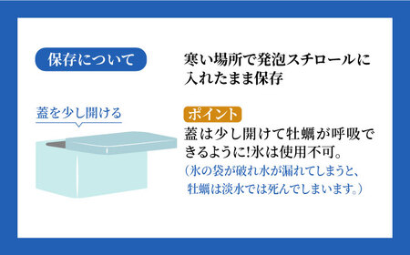 殻付き 生牡蠣 「 豊前海一粒かき (しいだ小粒がき)」 3kg 大中小サイズ ミックス / 牡蠣ナイフ付き 《築上町》【築上町蓄養殖部会】 牡蠣 かき カキ[ABAY007] 牡蠣 牡蛎 カキ かき