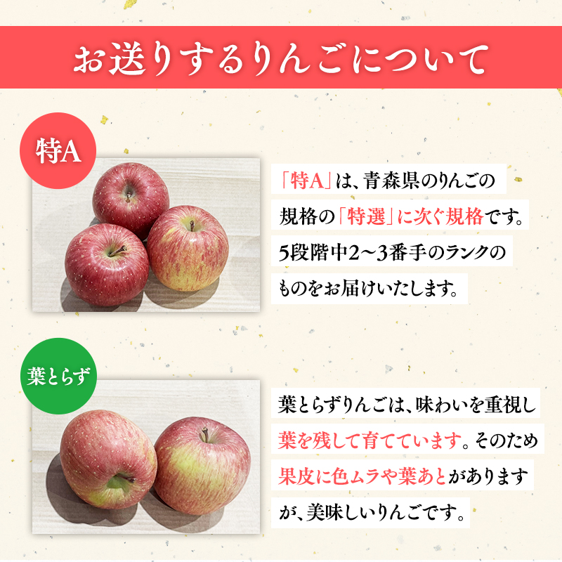 3月 葉取らずサンふじりんご 約5kg 訳あり 家庭用【青森県 平川市 森山商店 】 