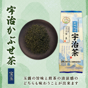 定番の宇治茶3種セット（宇治玉露 山城の露・宇治かぶせ茶 宝玉・宇治煎茶 優等煎茶） 煎茶 宇治茶 かぶせ茶 お茶 緑茶 日本茶 茶 茶葉 おいしい 国産お茶 飲み比べ セット 贈り物 贈答 ギフト 