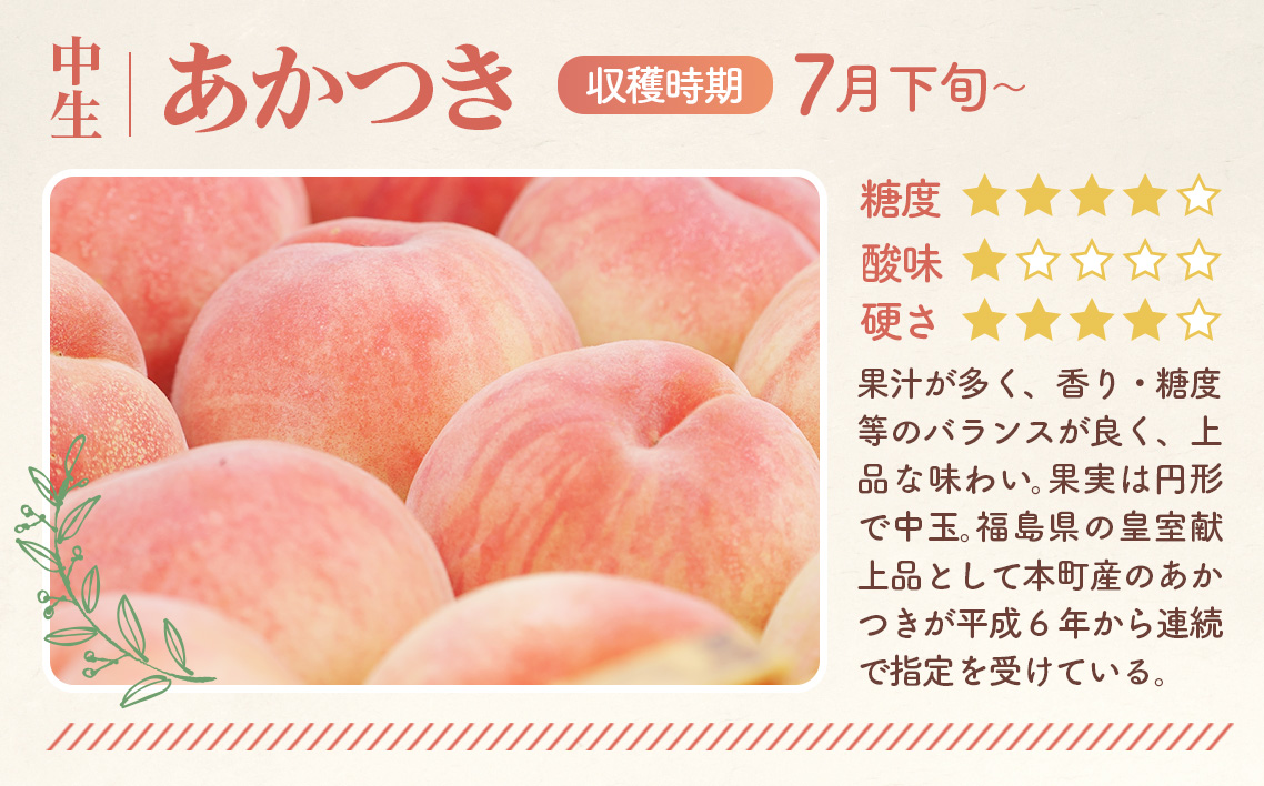 もも【あかつき・2026年産先行受付】特秀約3kg「献上桃の郷ブランド品」桑折町産　JAふくしま未来　桃 No.096