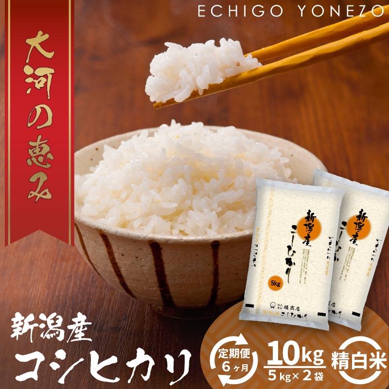 【ふるさと納税】【定期便6ヶ月】新潟市 秋葉区小須戸産コシヒカリ 白米 10kg お米 精米 ご飯 代表 自然 飽きない 自信 美味しい