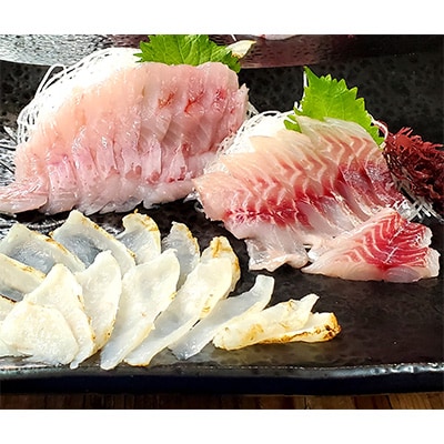 2023年5月発送開始『定期便』山陰の地魚お刺身セット　全3回【配送不可地域：離島】