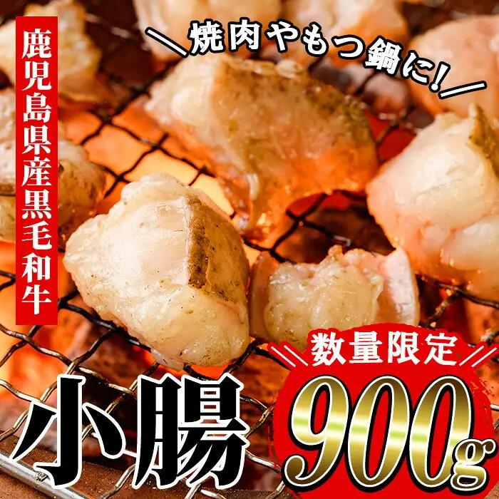 ホルモン 鹿児島県産 黒毛和牛 小腸 700g ホルモン【01-030-08】