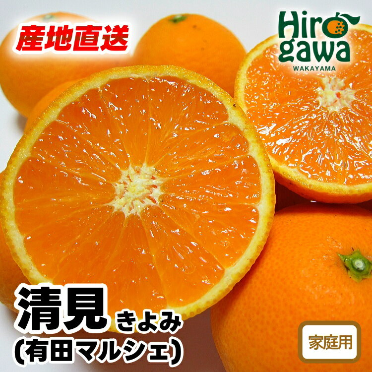 【ふるさと納税】【先行予約】 産地直送 有田 育ちの ご家庭用 完熟 清見 オレンジ ※2026年2月下旬～2026年3月下旬に順次発送 ※北海道・沖縄・その他離島地域は発送不可 / みかん 和歌山 有田 オレンジ フルーツ 果物 甘い //dekopon