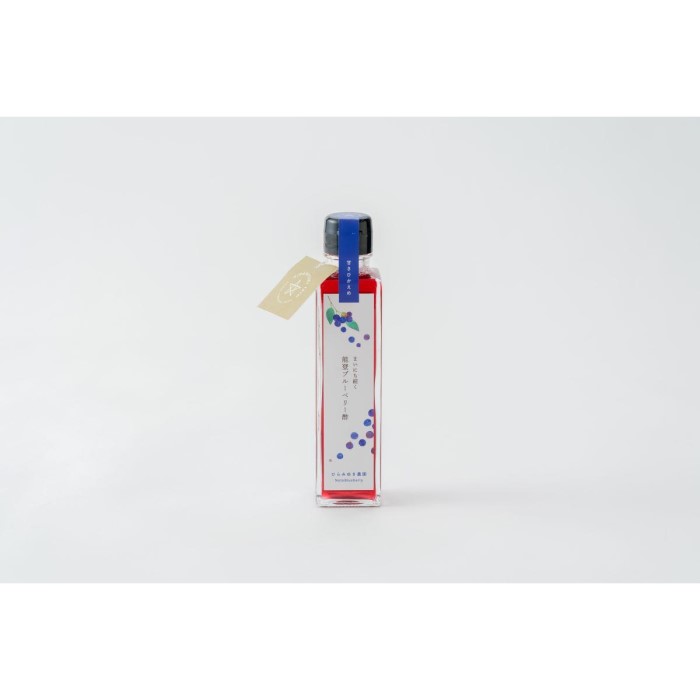 【ふるさと納税】【復興支援】美容と健康に まいにち続く 能登ブルーベリー酢 2本セット | 石川県 能登町 石川 能登 石川県能登町 ふるさと 納税 支援 支援品 返礼 食べ物 お取り寄せ グルメ ご当地 ご当地グルメ 詰め合わせ ブルーベリー 特産品 名産