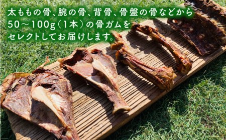 3回定期便　中型犬向け☆天然いのししのスモーク骨ガム4本 わんこin食堂/吉野ヶ里町[FCG073]