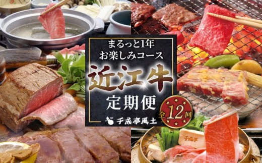 近江牛 12ヶ月定期便 まるっと1年お楽しみコース 定期便 千成亭 1年定期便 全12回 12か月 12回 牛肉定期便 和牛定期便 黒毛和牛定期便 食べ比べ 肉 牛肉 和牛 国産 黒毛和牛 すき焼き しゃぶしゃぶ 焼肉 焼肉用 焼き肉 肩ロース サーロイン サーロインステーキ ステーキ ハンバーグ 味噌漬け ローストビーフ 国産牛 希少 おすすめ 人気 12か月定期便 12回定期便 彦根 滋賀