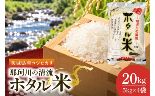 
                  令和7年産 茨城県産コシヒカリ 那珂川の清流 ホタル米20kg（茨城県共通返礼品/城里町）特A評価 数量限定 お米 こめ コメ ごはん 精米 こしひかり 単一米 安心 安全 白米 生産者直送 高評価 おいしい 茨城県産 水戸市（IH-2004）
                