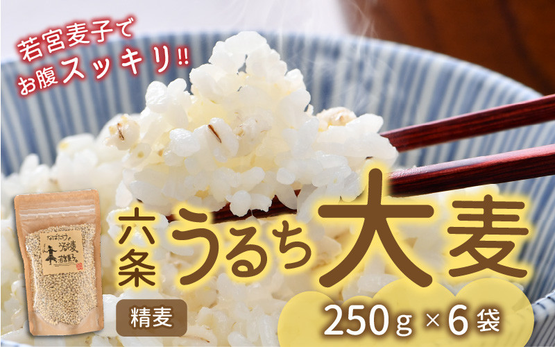 
プチプチ食感がやみつきに。若宮麦子でお腹スッキリ?六条うるち大麦 250g × 6袋 [A-13605]
