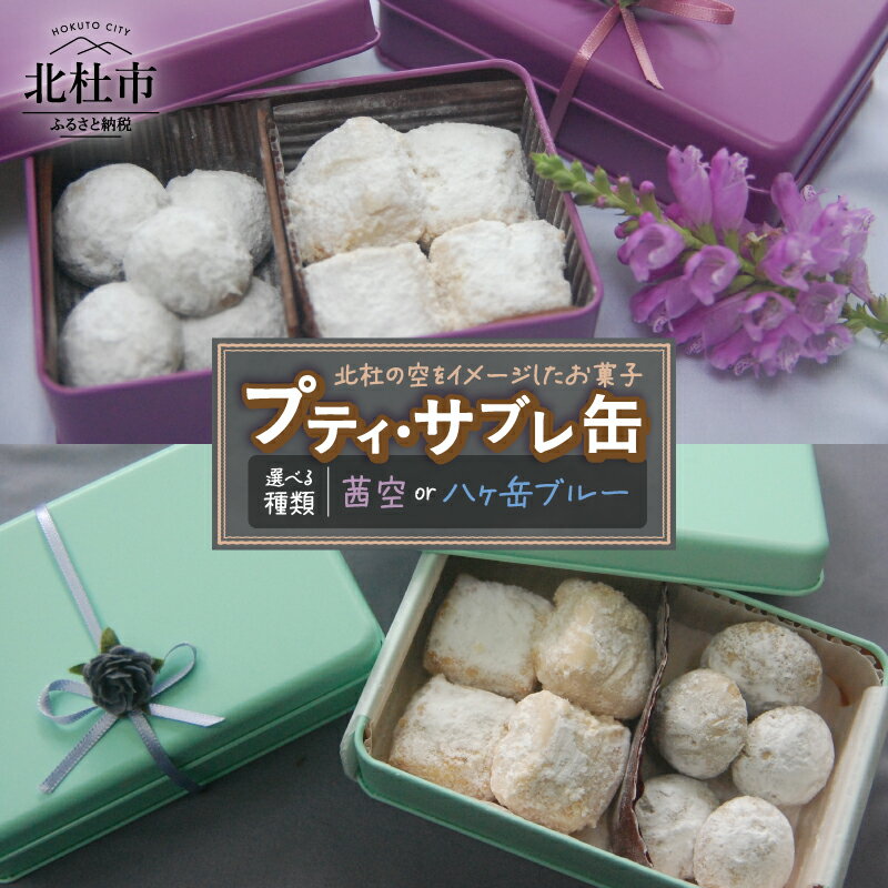 【ふるさと納税】 サブレ 焼き菓子 サブレ缶 ビスケット 詰合せ セット 9個入り スノーボール チーズサブレ ほうじ茶 紅茶 アーモンド チーズ ギフト スイーツ お菓子 洋菓子 贈答品 プレゼント 送料無料