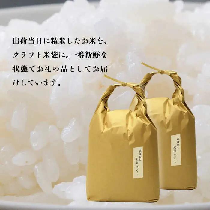 米 【特A】「元気つくし」 5kg×2袋 [10kg] [白米] [ABDF030] 米 白米 精米 ご飯 ごはん こめ コメ