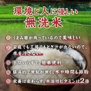 【令和5年度】金芽米特別栽培米農林48号2kg×２