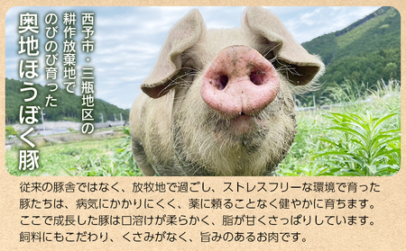 ＜奥地ほうぼく豚を使ったおつまみ3種セット＞豚肉 ぶた お肉 加工品 おつまみ おかず ペッパーウインナー ベーコン ブロック パストラミスライス ロース肉 詰合せ BBQ アウトドア キャンプ サラ