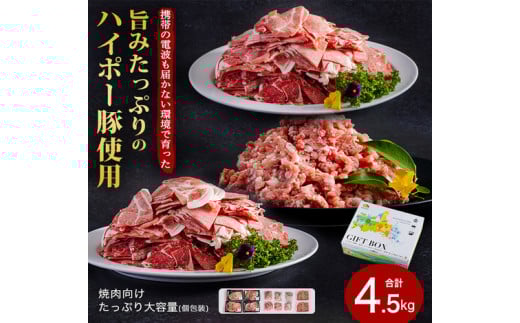 豚肉 阿武町産 豚肉 盛り合わせ 4.5kg | 携帯の電波も届かない環境で育った旨みたっぷりのハイポー豚 豚 肉 お肉 ※配送不可:離島