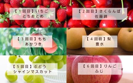 No.2998 福島の美味しい果物定期便【2026年発送】