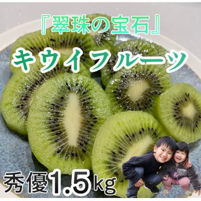 ふるさと納税 伊予市 『翠珠の宝石』キウイ　秀品・優品込み　1.5kg