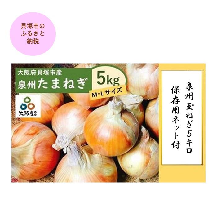 【ふるさと納税】泉州玉ねぎ5kg　保存用ネット付
